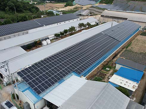 Obudowa do montażu na dachu z blaszanym panelem słonecznym w Korei 99,84 kW
