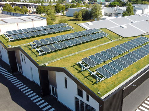 Francuskie start-upy dostarczają nowych rozwiązań w zakresie zielonych dachów fotowoltaicznych