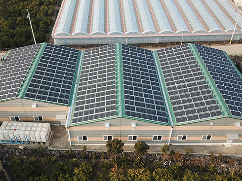 Wspornik do montażu na dachu fotowoltaicznym na statywie balastowym o mocy 160 kW w Korei